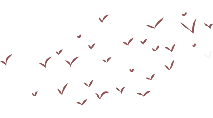 vogels natuureducatie